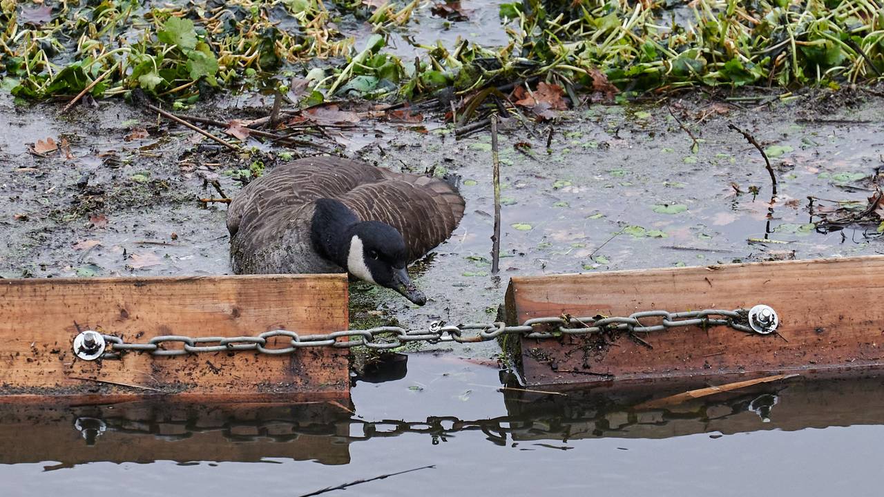 Foto: Tom van der Put/SQ Vision.