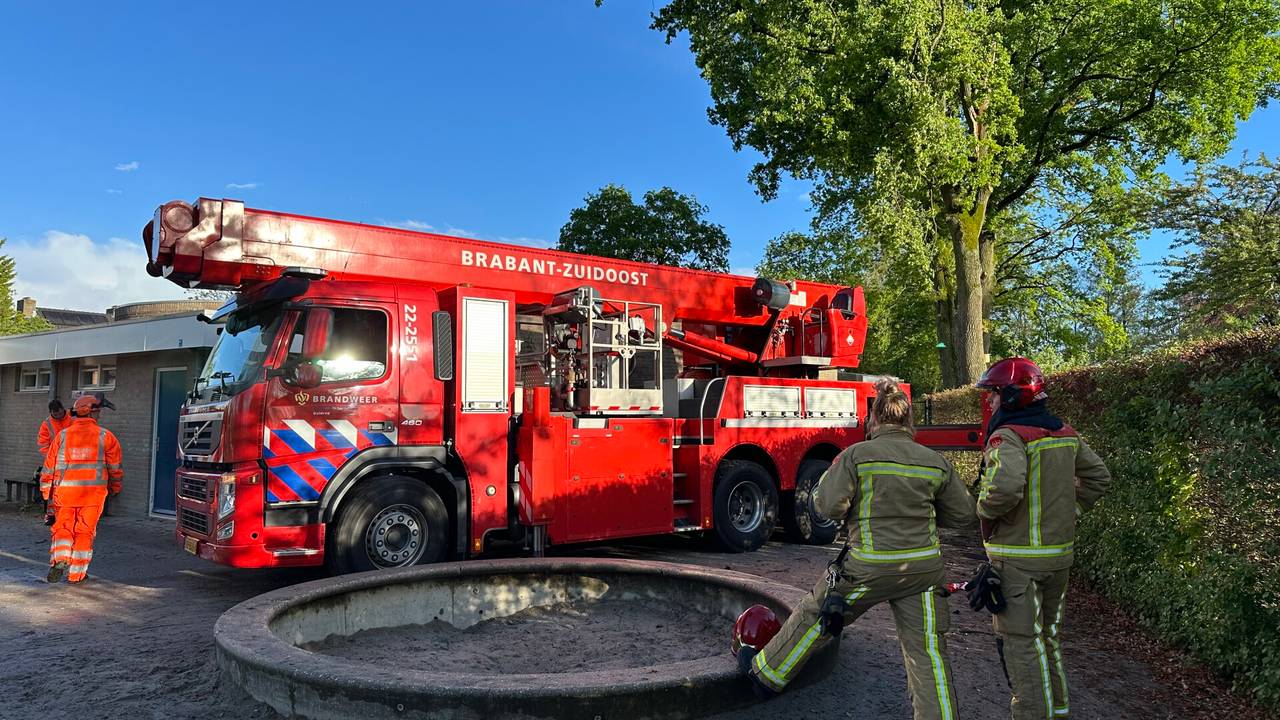 Losse tak bij basisschool (foto: Dave Hendriks/SQ Vision).