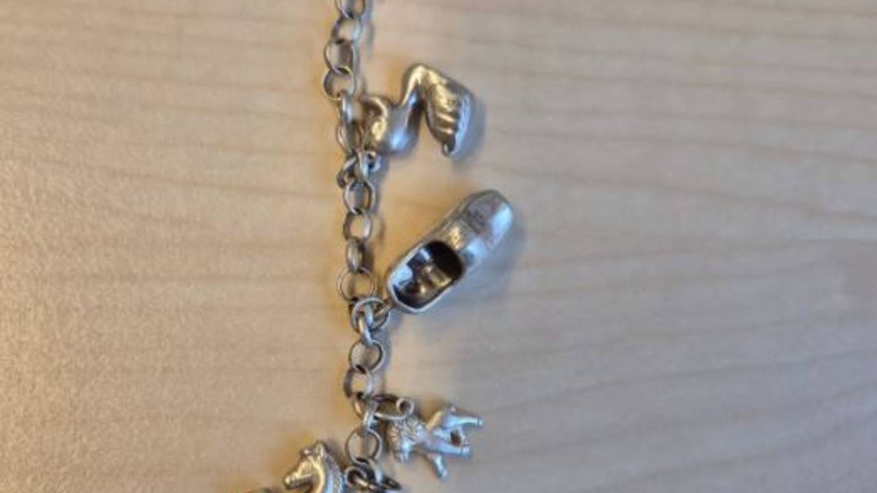 Foto: Instagram politie Gemert-Bakel