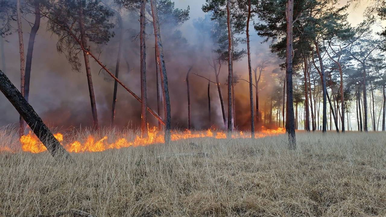 Very Large Forest Fire in Drunen, NL-Alert: Evacuate