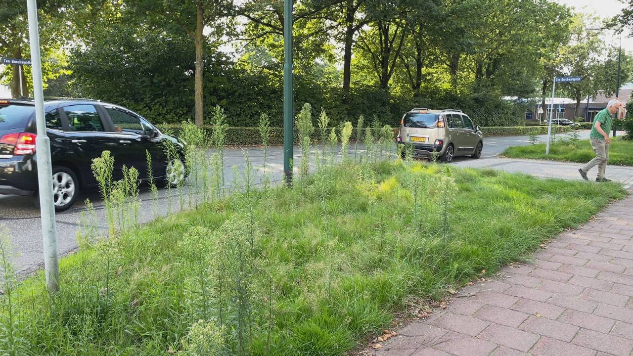 Ga naar slide 2