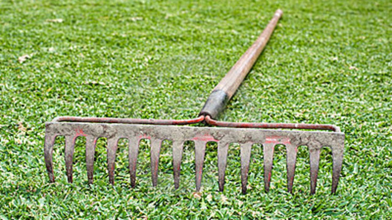 Hark ter illustratie (foto: archief).