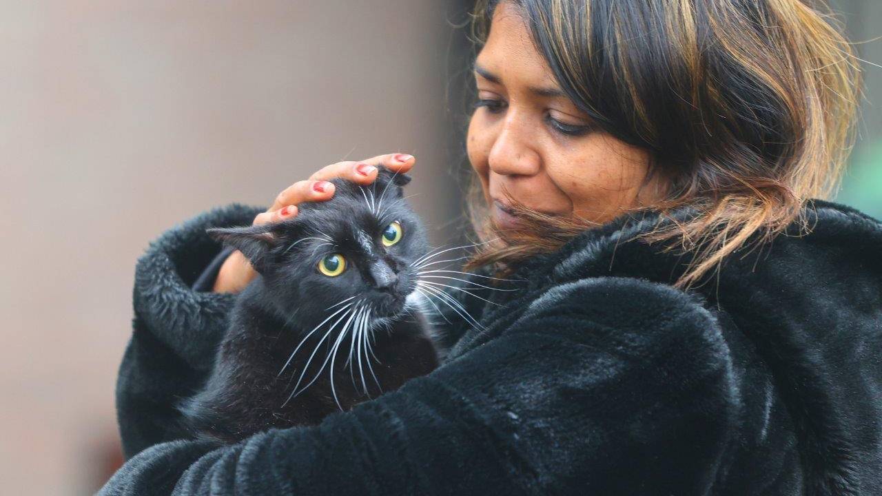 Bob en zijn 'baasje' herenigd (foto: Bart Meesters/MeestersMulti Media/SQ Vision).