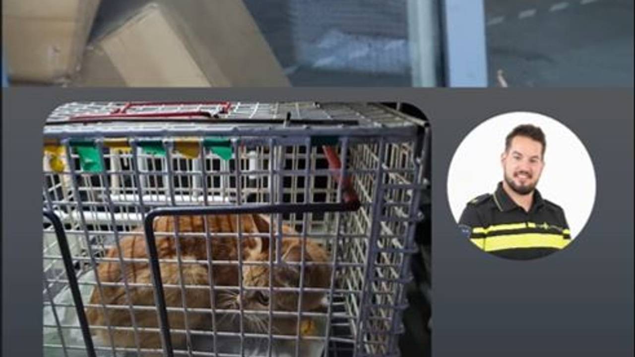 Foto: Instagram wijkagenten Helmond-binnenstad