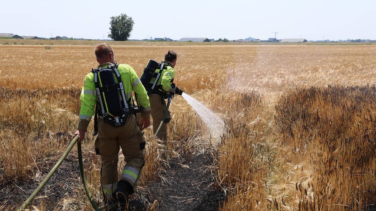 Foto: Sander van Gils/ SQ Vision