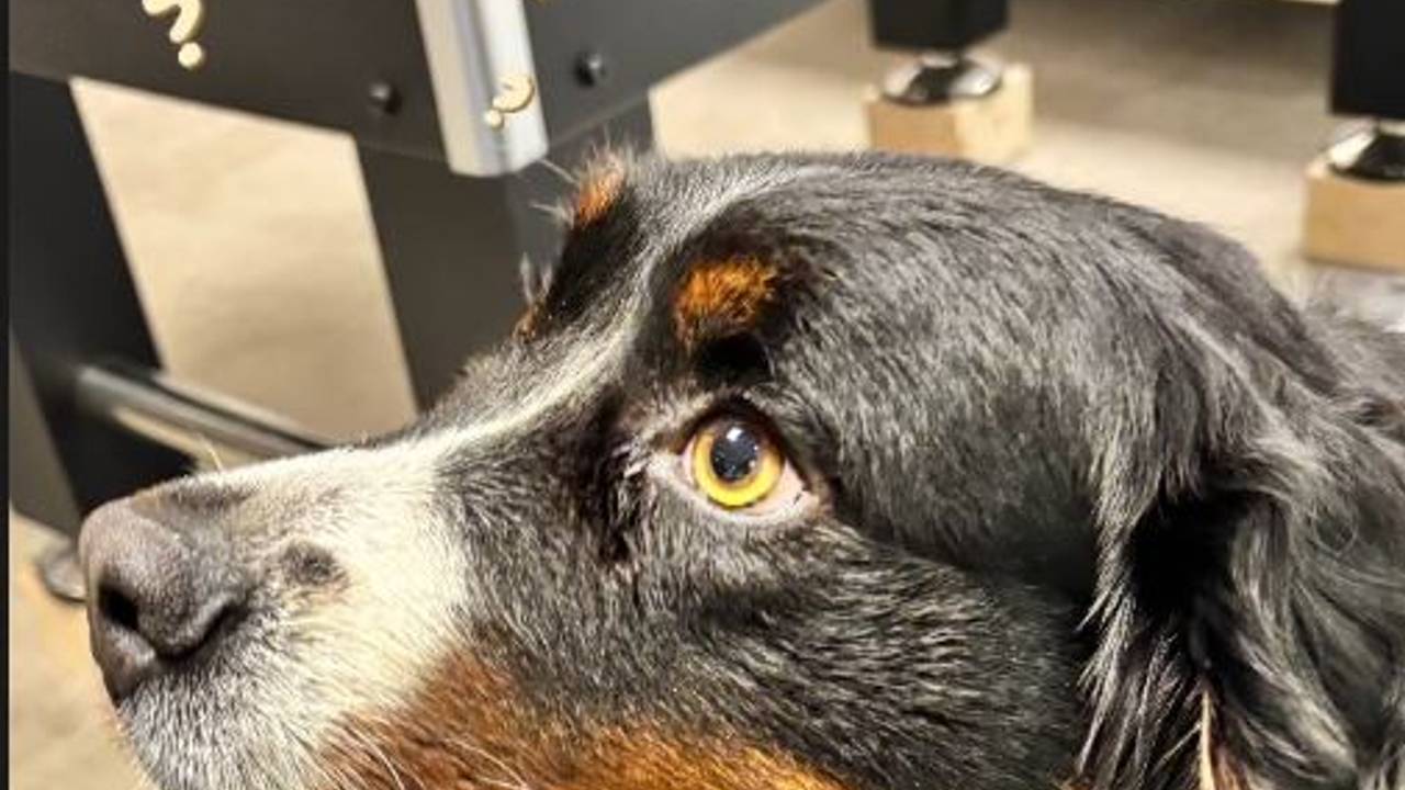 Foto: Instagram wijkagent Aarle-Rixtel