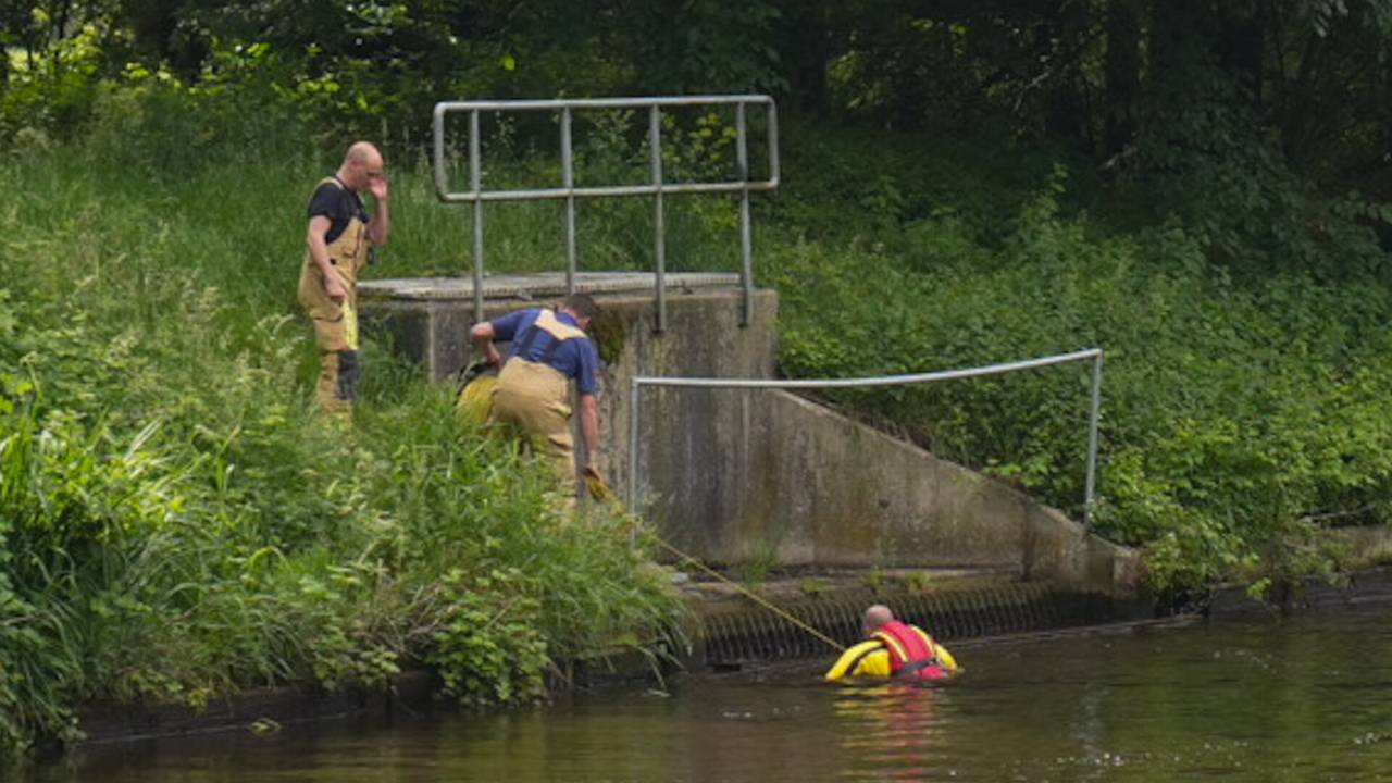 De brandweer tijdens de pogingen deze middag om een ree te vinden en te redden (foto: Harrie Grijseels/SQ Vision).