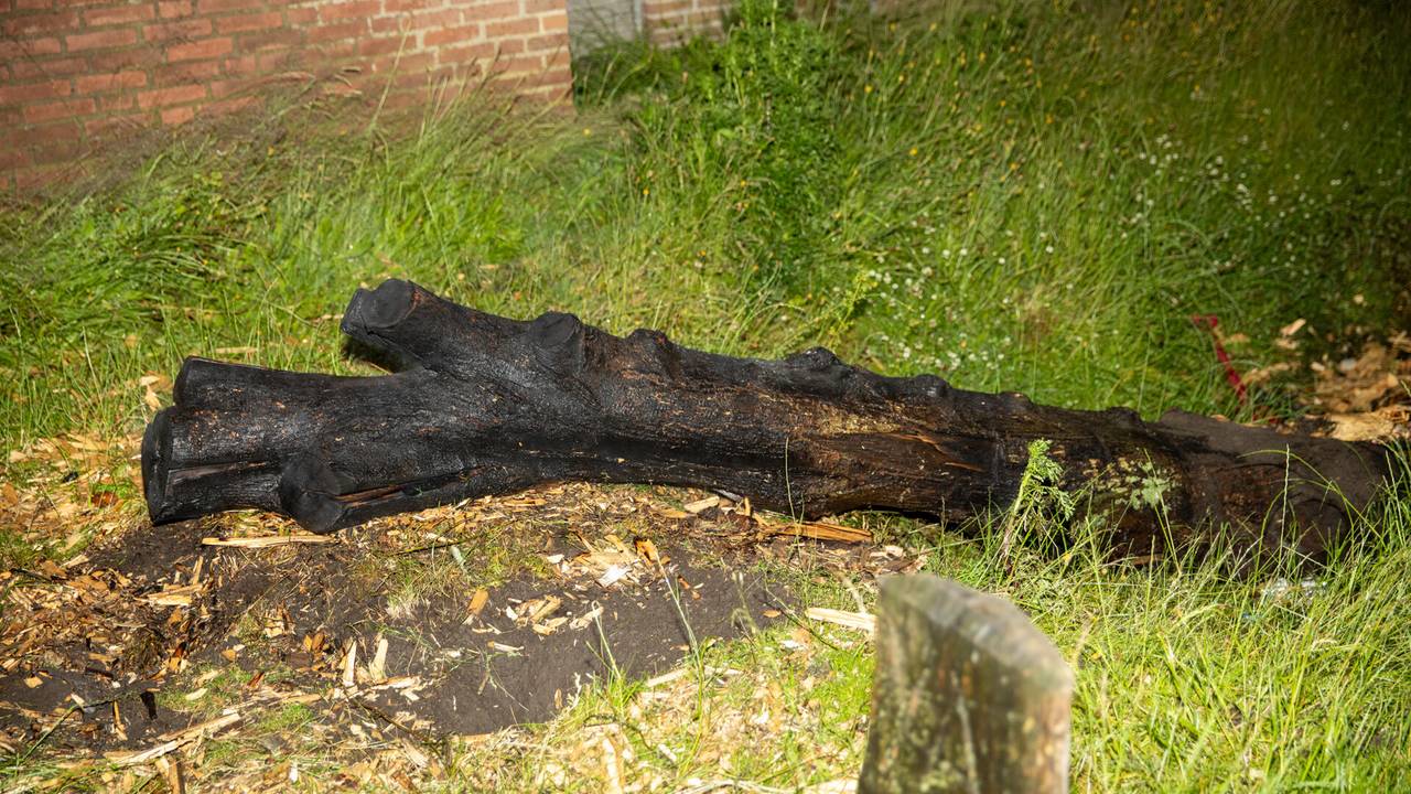 Foto: Christian Traets/SQ Vision.