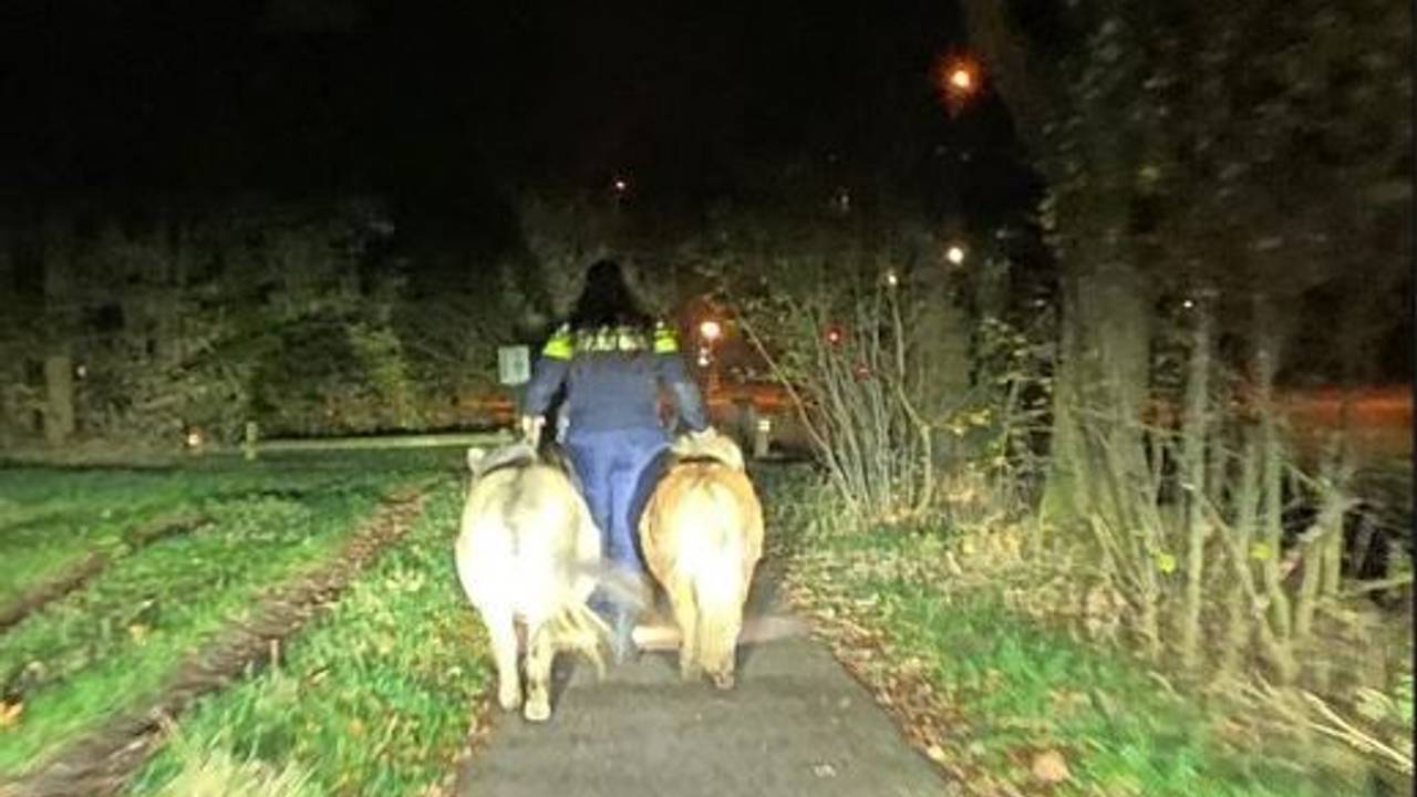 Foto: Instagram politie Veldhoven-Waalre