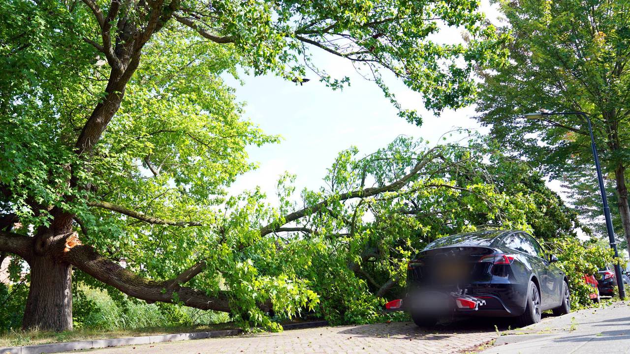 Foto: Bart Meesters/Persbureau Heitink.