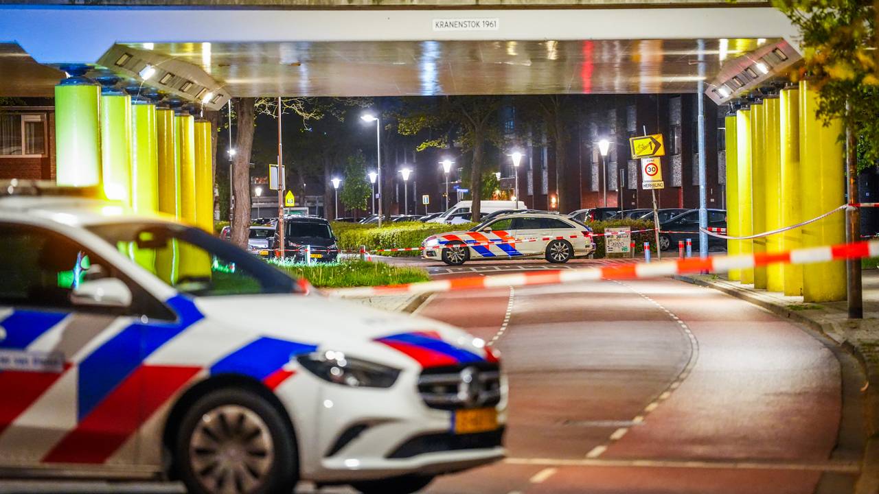 De schoten werden bij dit viaduct gelost (foto: SQ Vision / Persbureau Heitink).