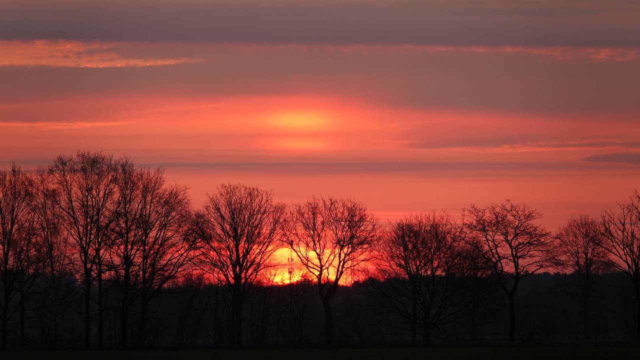Wie vroeg opstond, trof het zaterdagochtend (foto: Ben Saanen).