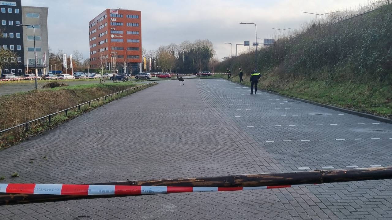 Foto: Politie.