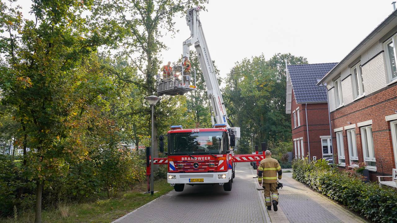 Foto: Gabor Heeres/SQ Vision