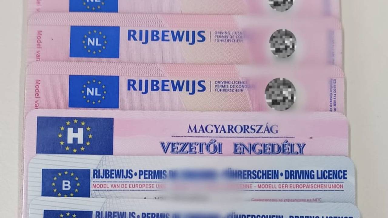 Zeven rijbewijzen werden door de politie ingenomen (foto: X/Verkeerspolitie Zeeland-West-Brabant).