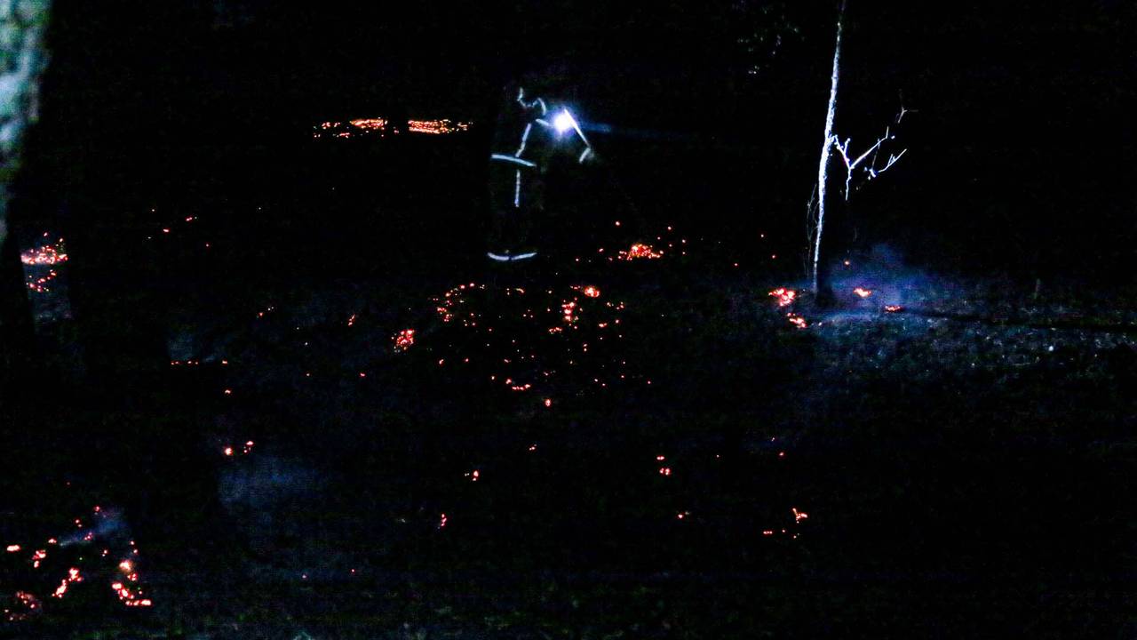 De opgelaaide Peelbrand (foto: Harrie Grijseels/SQ Vision).