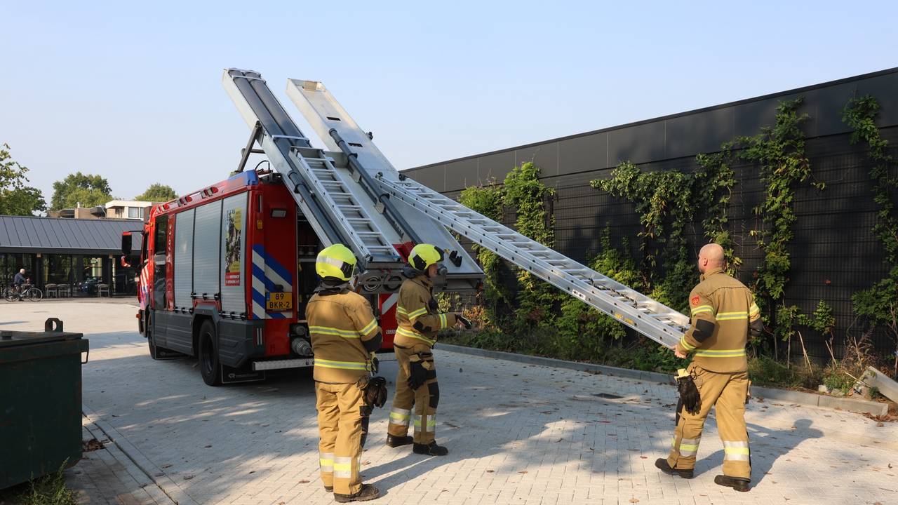 Foto: Sander van Gils / SQ Vision