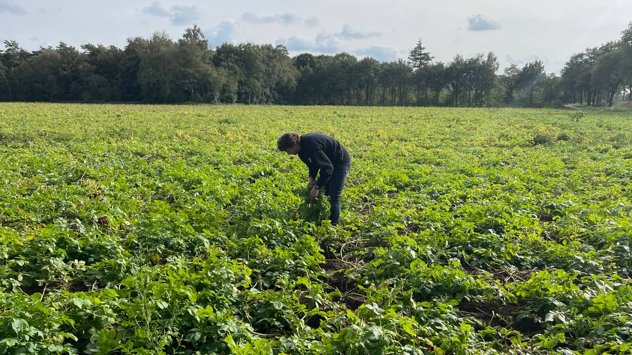 (Archiefbeeld: Imke van der Laar)