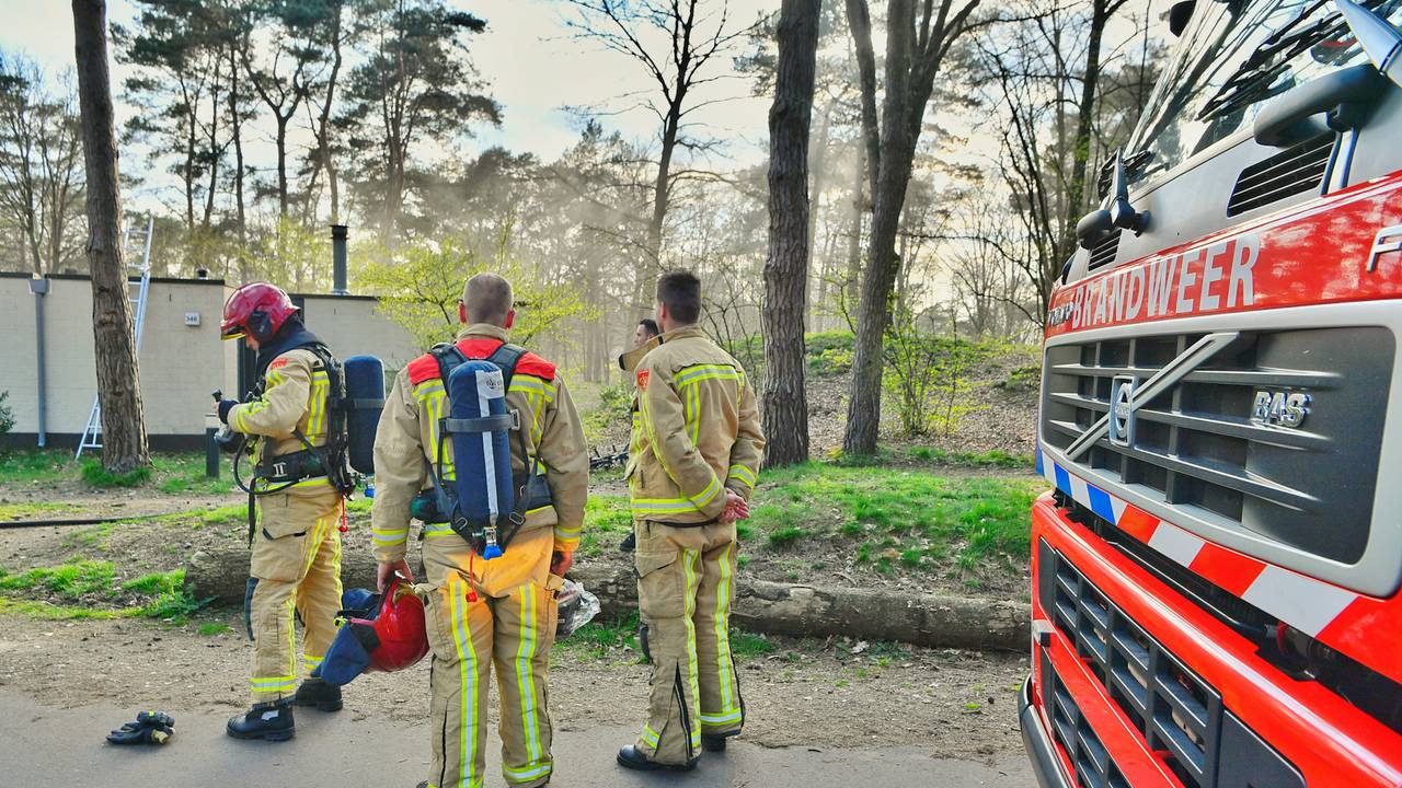 Foto: Rico Vogels / SQ Vision 