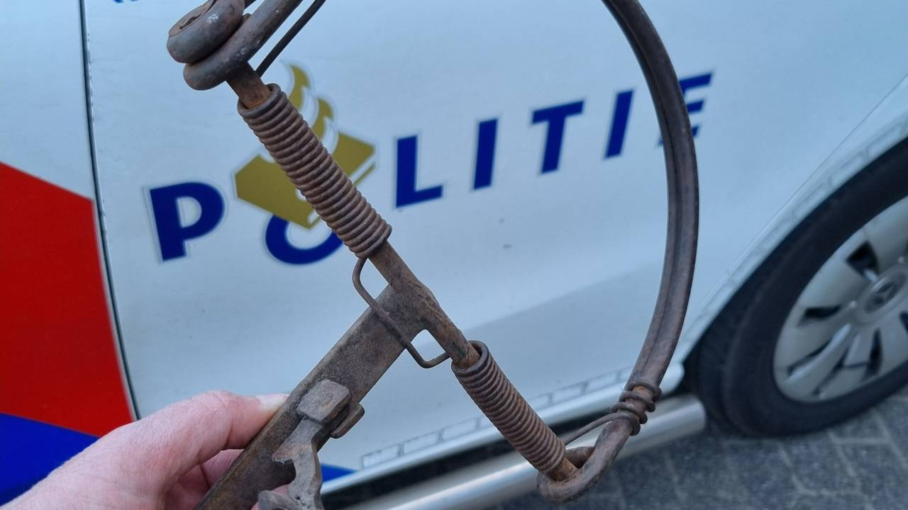 De pootklem waarin de kat vast zat (foto: Dierenpolitie Oost-Brabant).