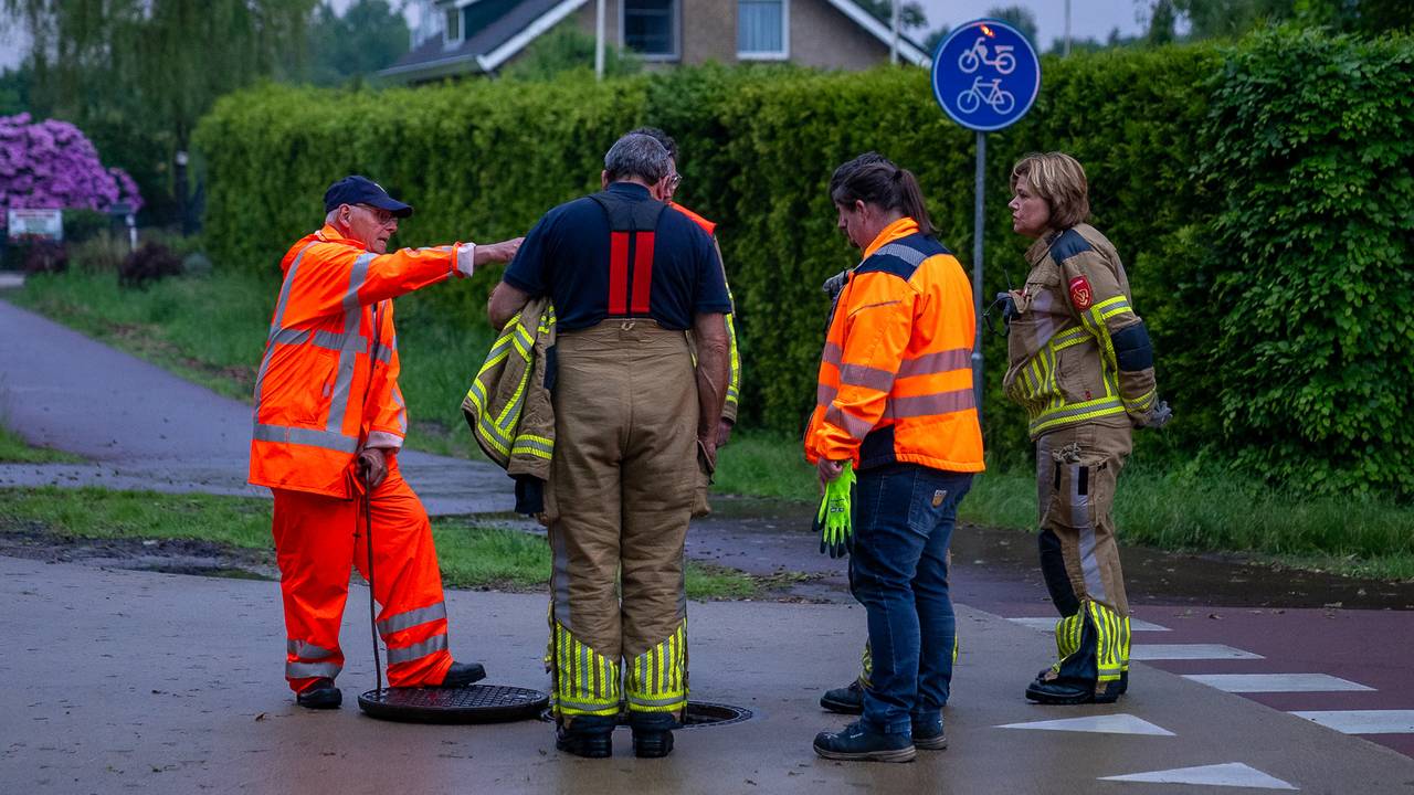 Foto: Iwan van Dun/SQ Vision