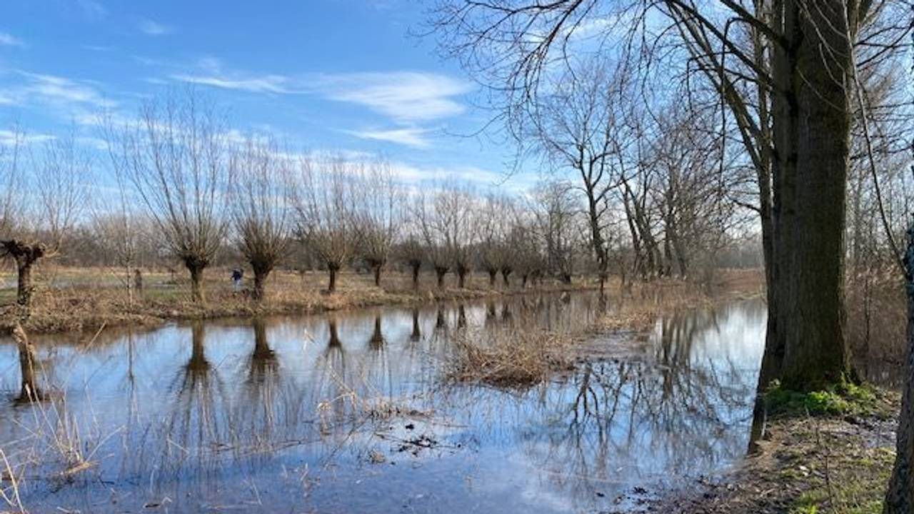Onder meer De Dommel is buiten de oevers getreden, zoals hier in Eindhoven (foto: Hans Janssen).