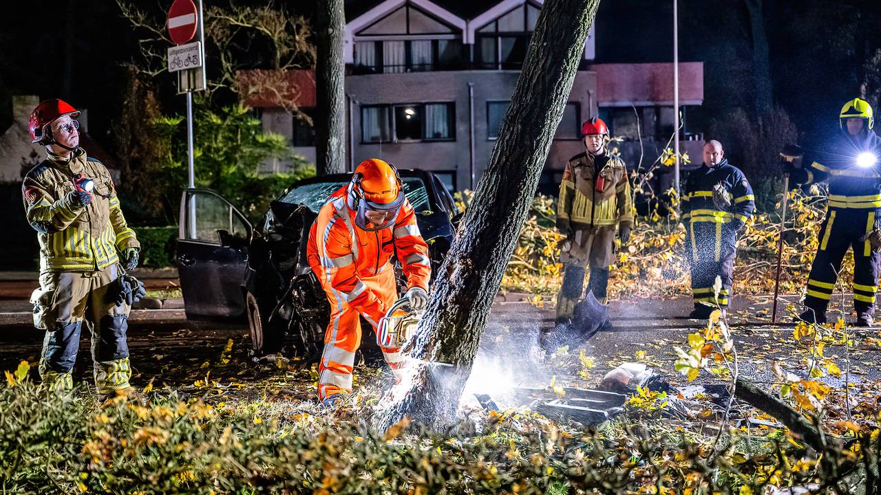 De boom waar de automobilist tegenaan reed, is door de brandweer in stukken gezaagd (foto: Jack Brekelmans.SQ Vision).