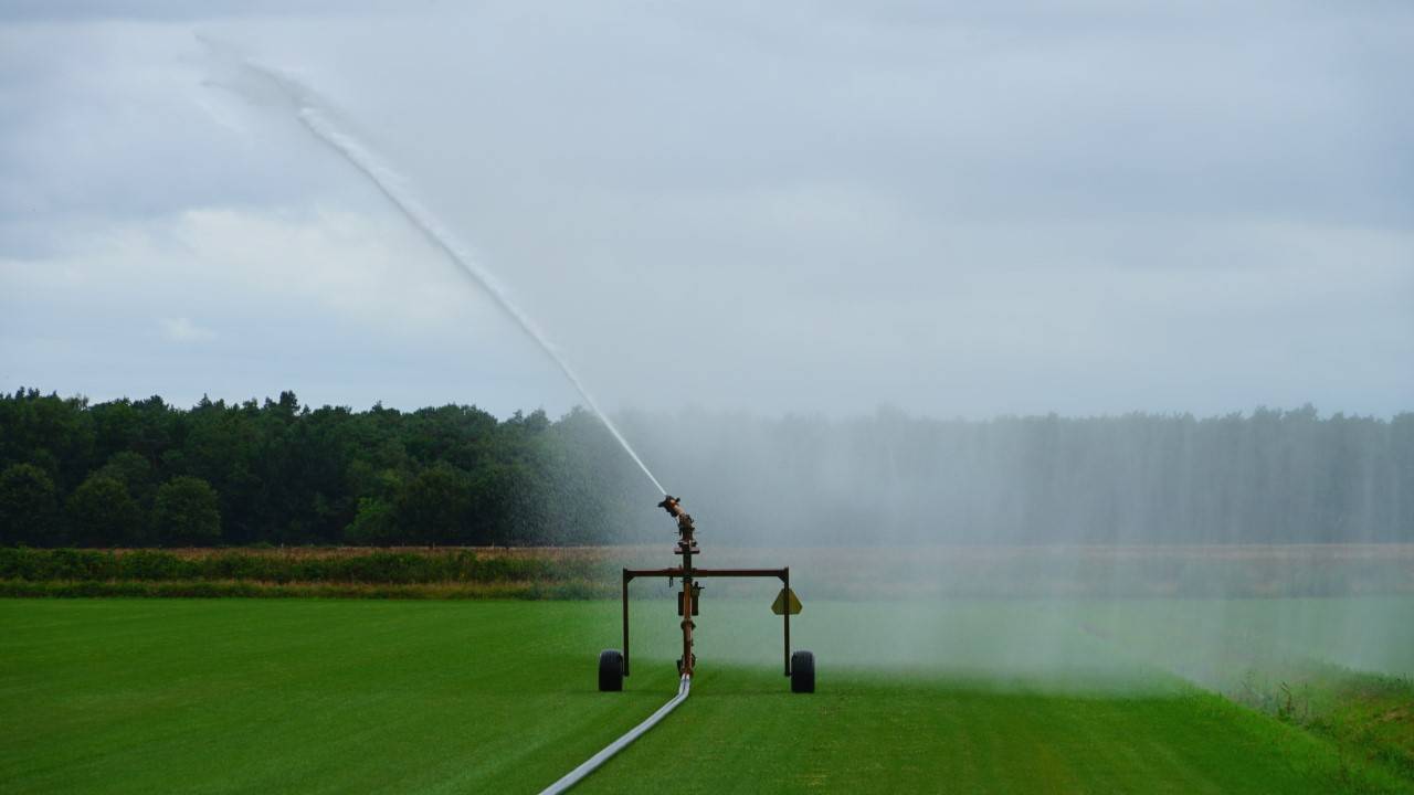Foto: Toon Boons