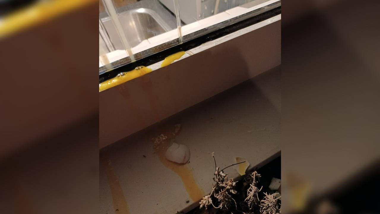 Eierstruif tegen de ruit en op de vensterbank.