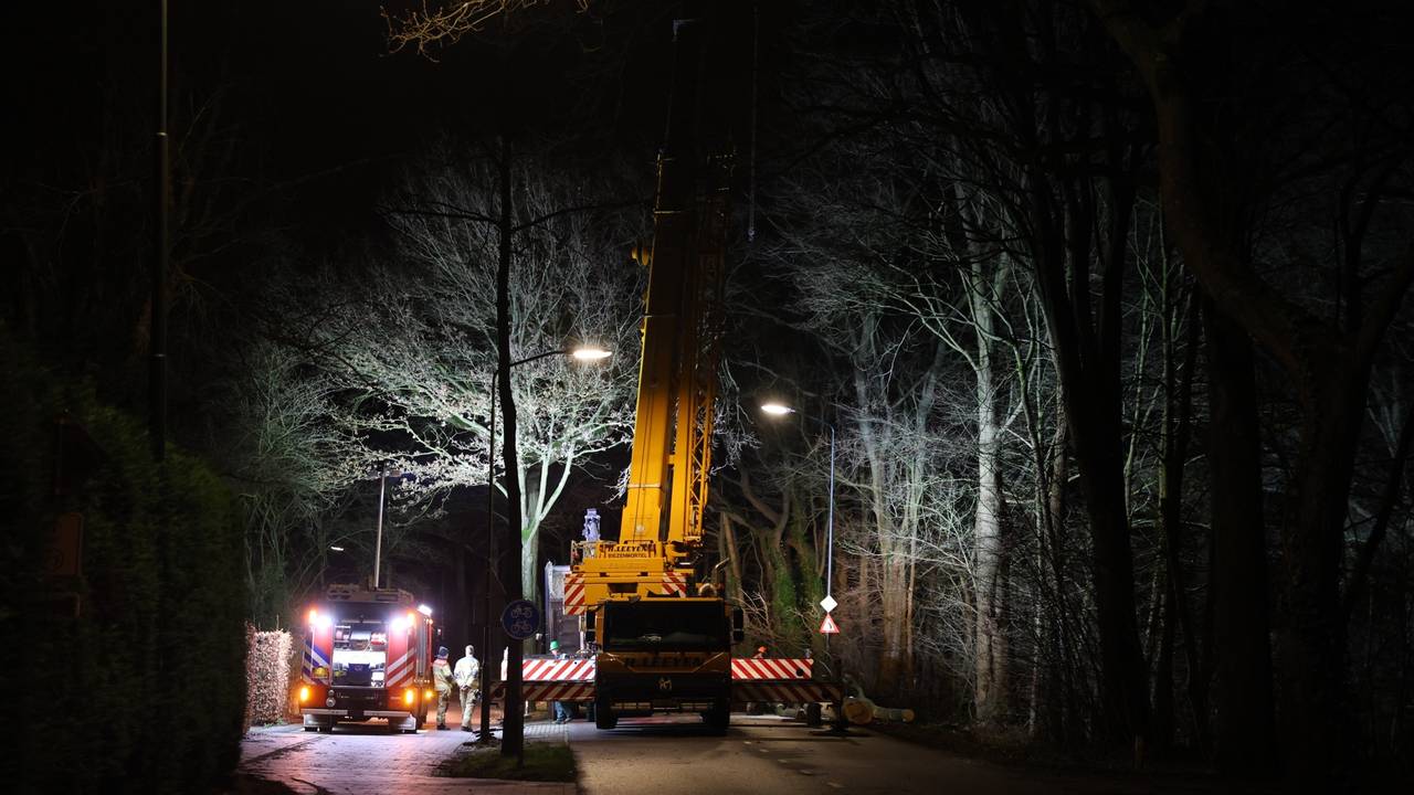 Foto: Sander van Gils / SQ Vision.