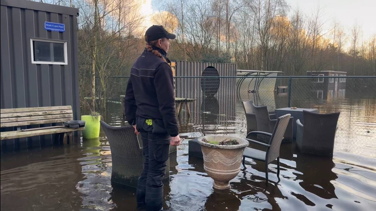 Severe Flooding at Dog Boarding House in Tilburg Leaves Employees & Animals in Crisis