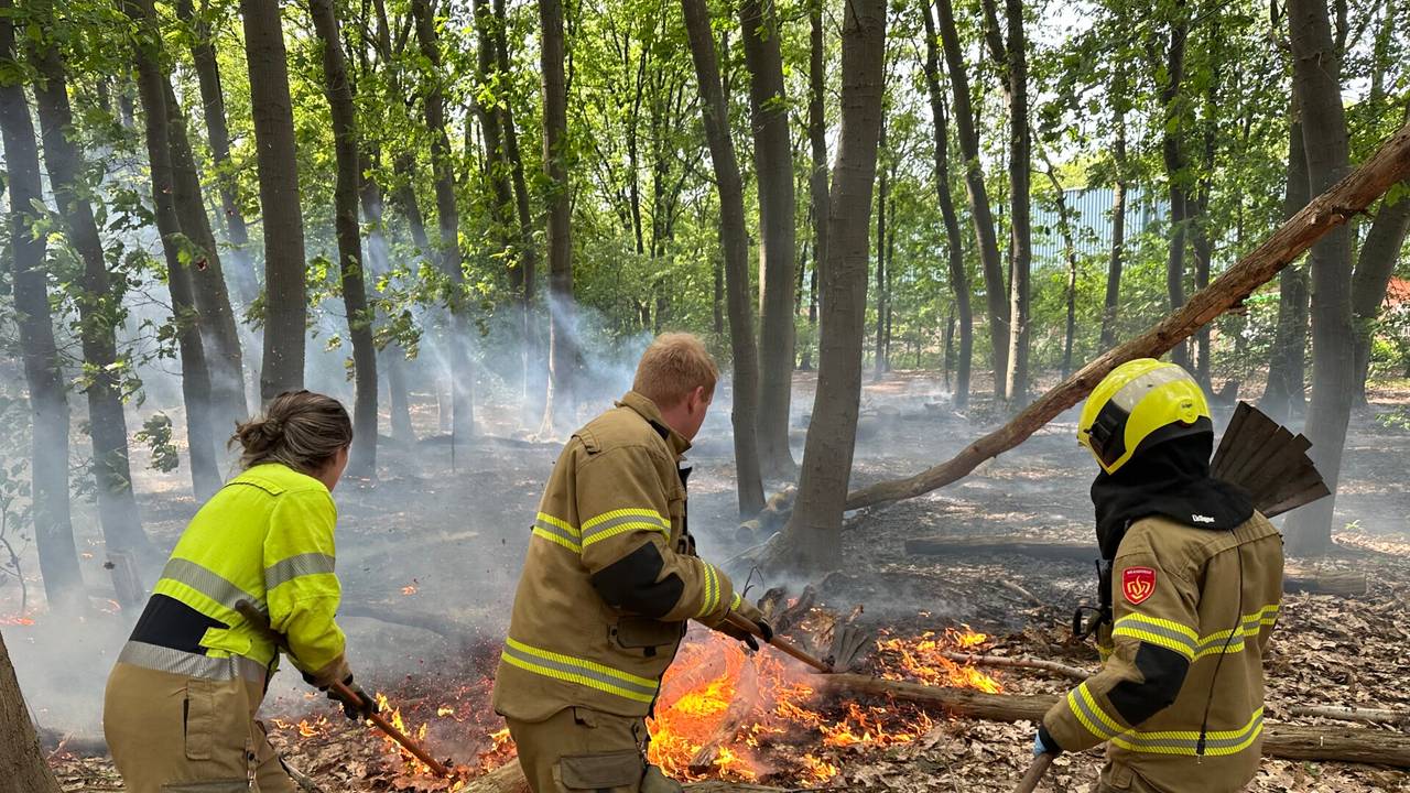 Foto: Bart Meesters/SQ Vision.