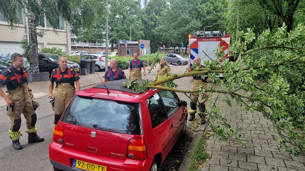 De tak brak af en waarde door het linnen dak van de auto in Tilburg (foto: Toby de Kort/SQ Vision).