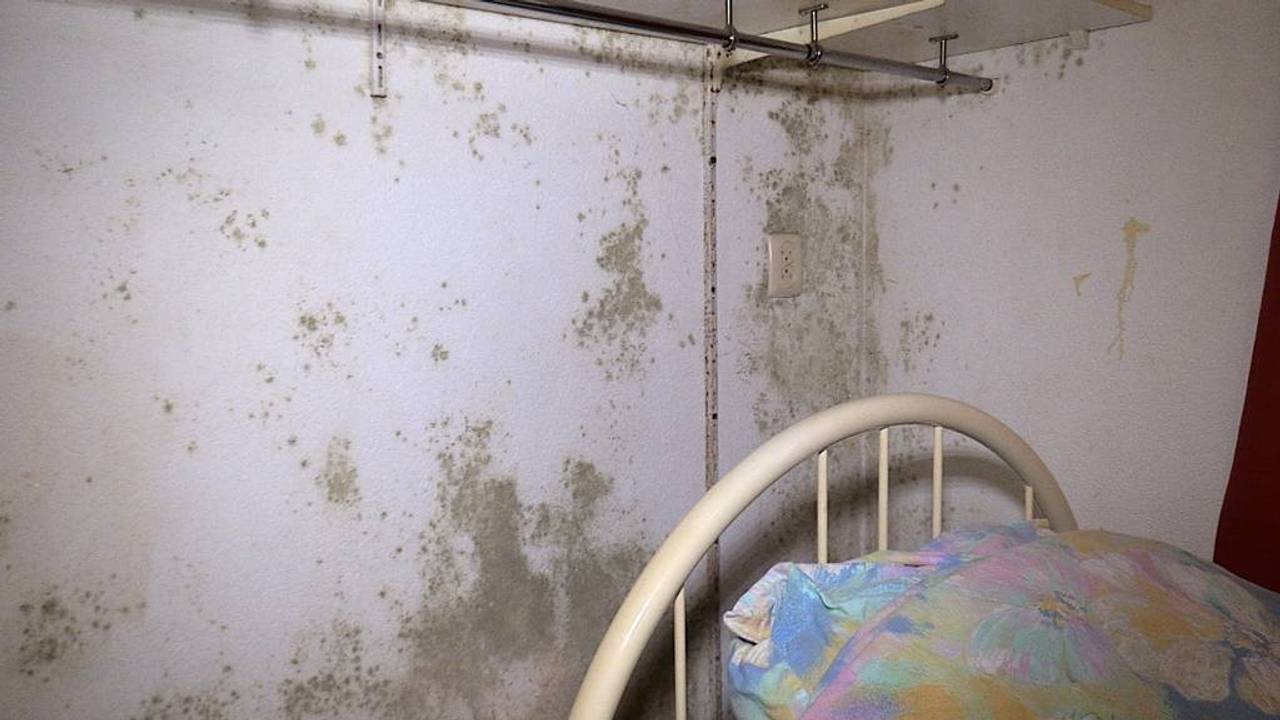 De schimmel zit bij deze melder zelfs in de slaapkamer (foto: Omroep Brabant).