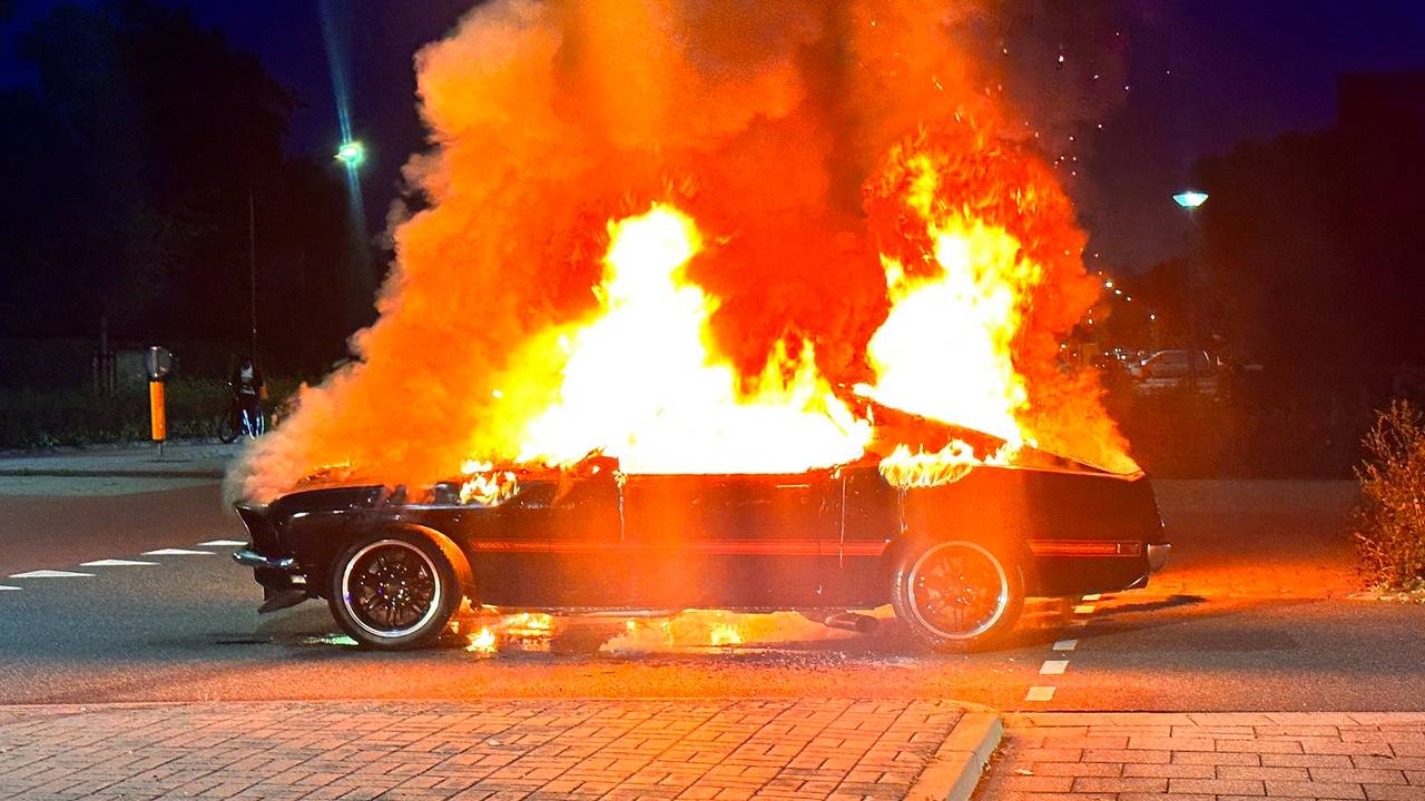 Foto: Thom Hesterman.