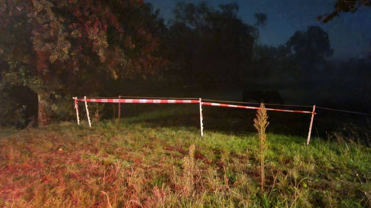 De agent zette de paarden in een wei en maakte daar een afscheiding (foto: X/wijkagent Ger Roumen).