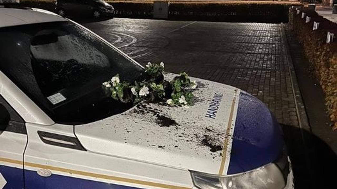 Foto: boa's Gilze en Rijen