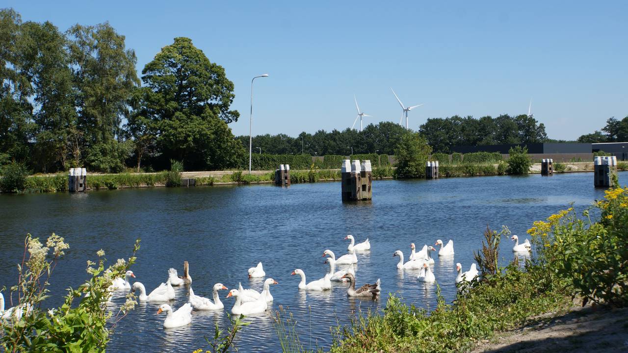 Het Wilhelminakanaal in de zomer (foto: Toon Boons).