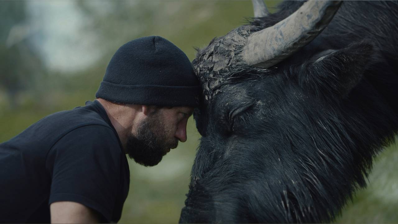 Trailer met beelden van Arjan in de documentaire Farmer, a way of life.