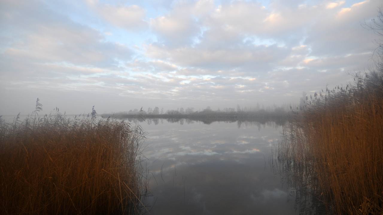 Foto: Ben Saanen.