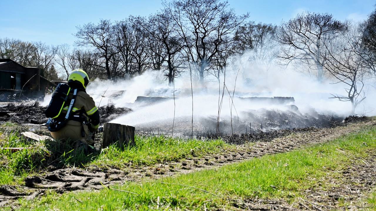 Foto: Toby de Kort/SQ Vision.