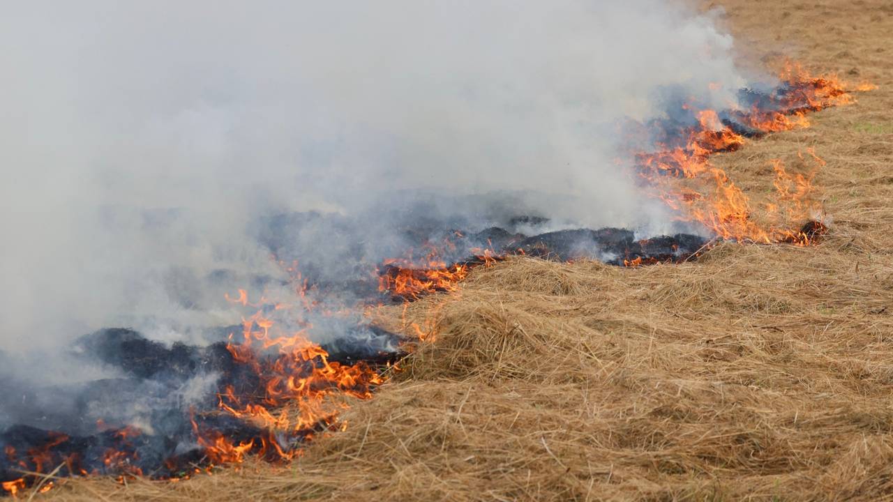 Hooi in brand in gemonde (Foto: Sander van Gils/SQ Vision