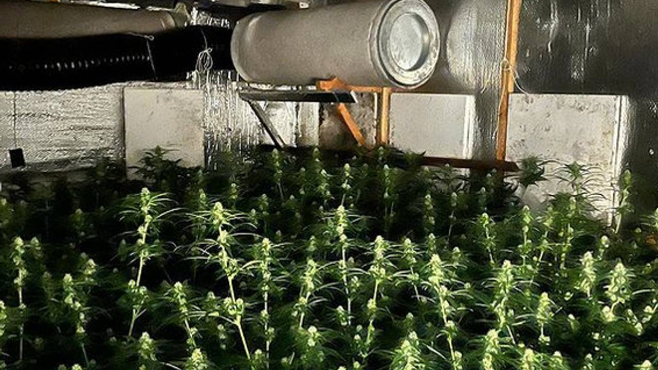 De ondergrondse hennepkwekerij in Tilburg (foto: Instagram Politieteam Reeshof)