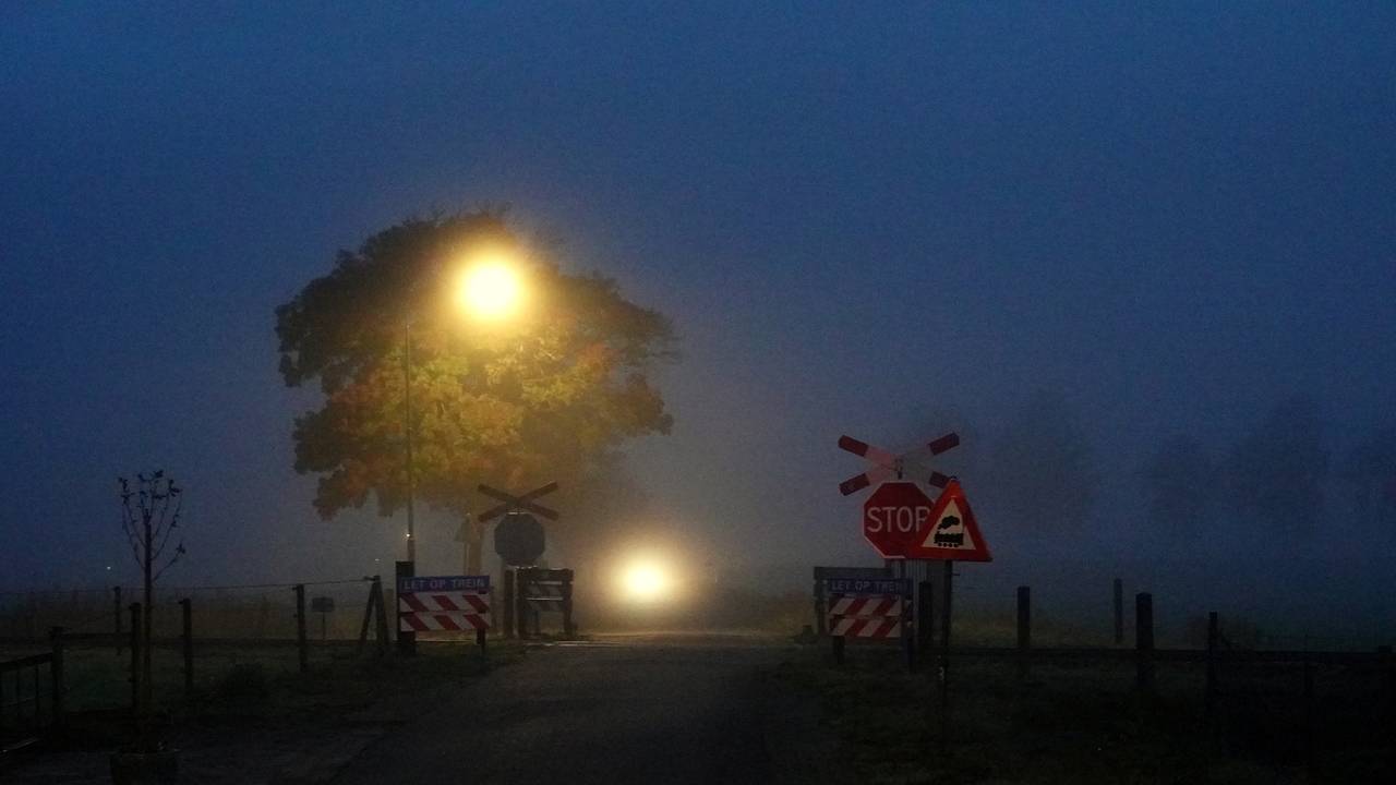 Dichte Mist In Delen Van Brabant, Code Geel Achter De Rug - Omroep Brabant