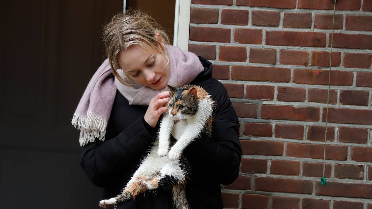De eigenaresse is blij dat de kat heelhuids uit de boom is (foto: SK-Media).