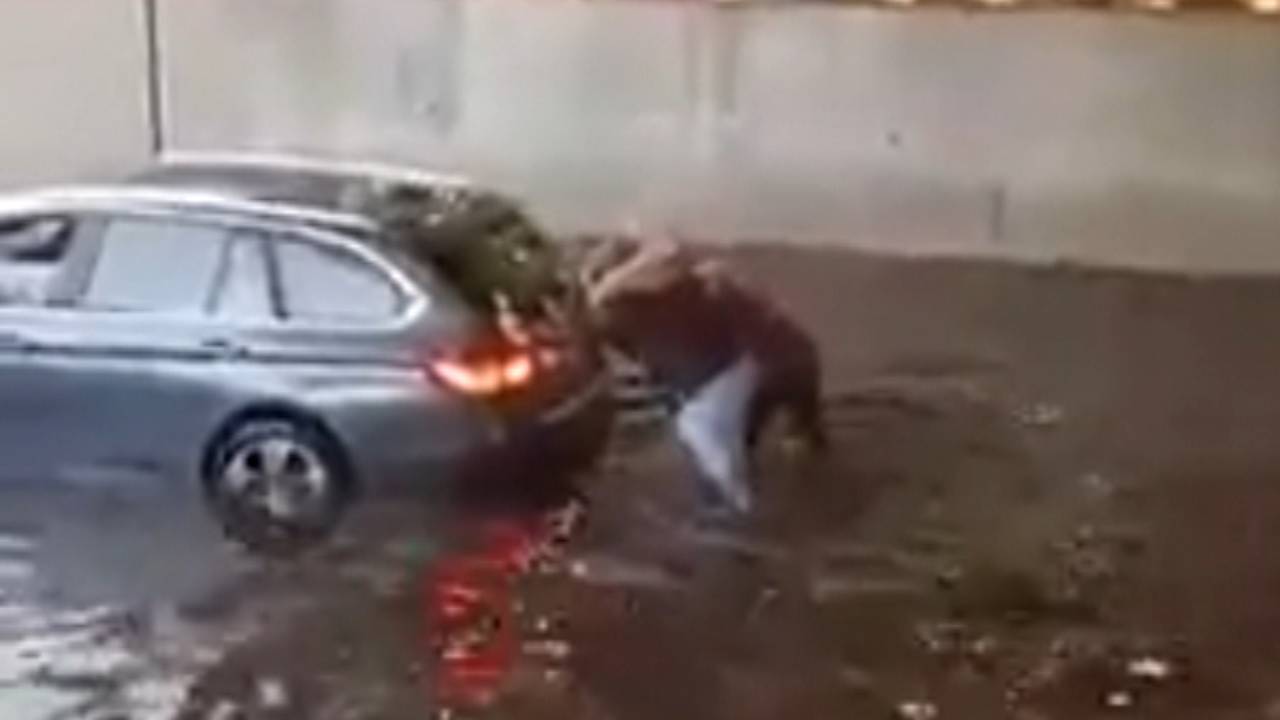 Demelza (18) helpt vrouw in gestrande BMW uit ondergelopen tunnelbak: 'Kon het niet aanzien'