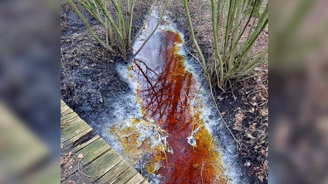 Foto: Waterschap de Dommel.