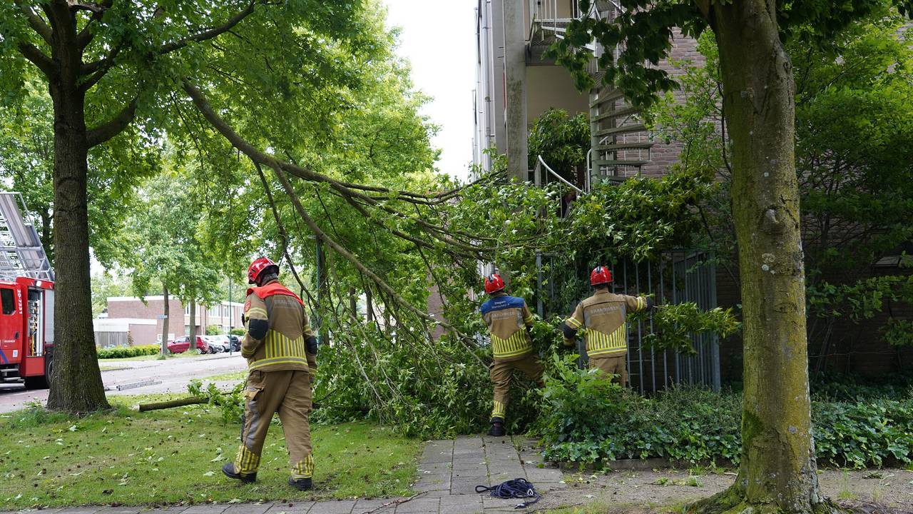 Grote tak valt op galerij (foto: Jeroen Stuve/SQ Vision).