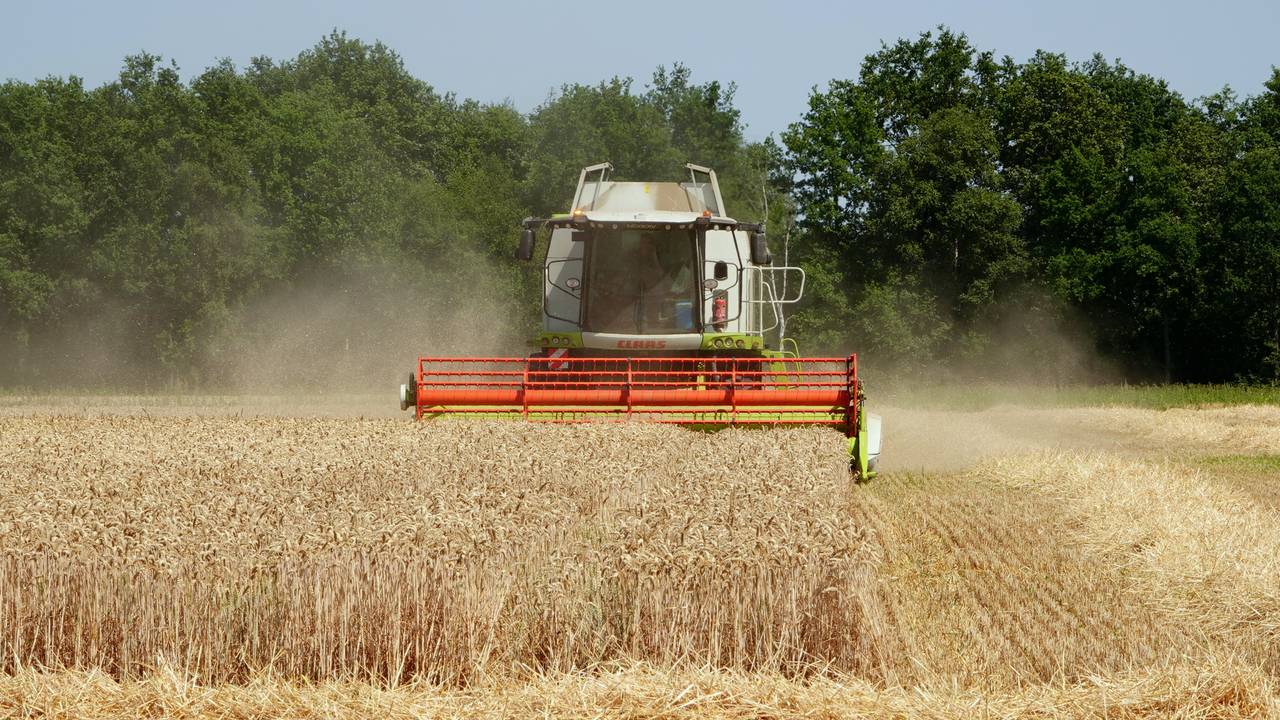 Deze boer zal het vast warm hebben gehad tijdens de graanoogst in Brabant. Foto: Ben Saanen.