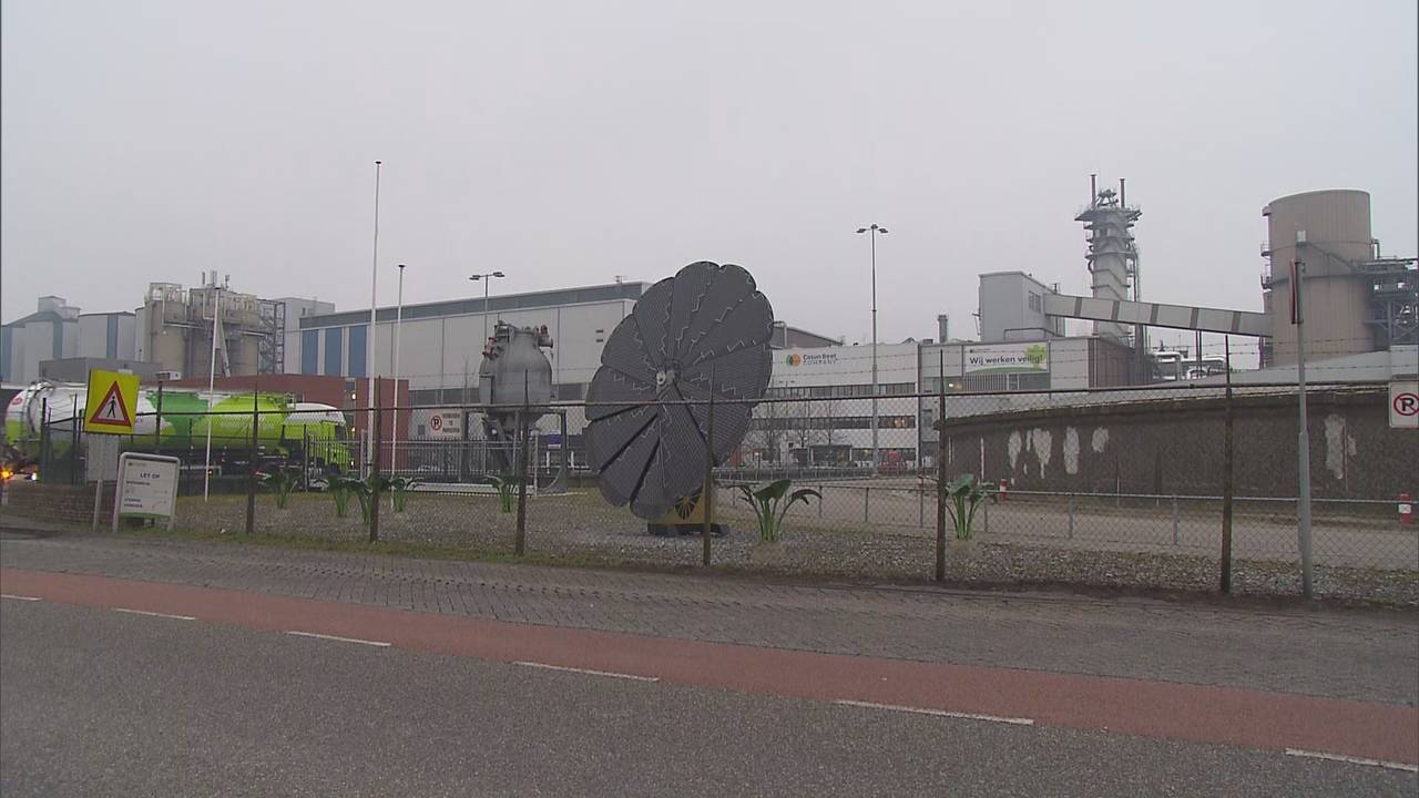 De voorkant van de Cosun fabriek (foto: Omroep Brabant).